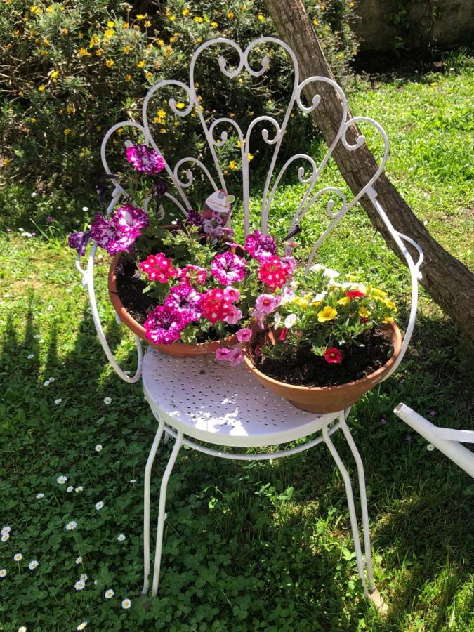 B&B Anna Bolsena Exterior photo