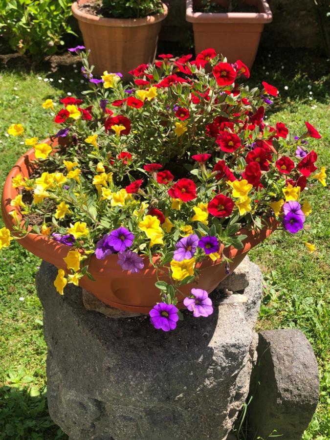 B&B Anna Bolsena Exterior photo